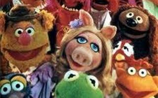 how much do you know about muppets?