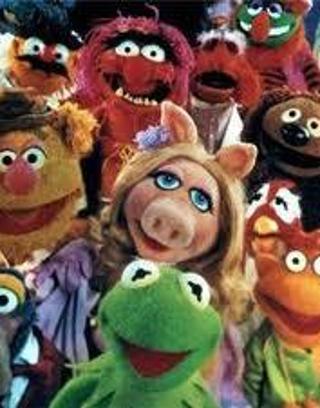 how much do you know about muppets?