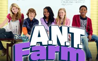 what Ant Farm character are you ?