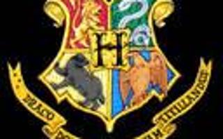 Muggle studdies O.W.L's