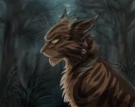 Guess that Warrior Cat!