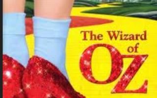 Th wizard of OZ:are you a good witch or A bad witch ????