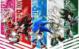 What Sonic Character Are You Like?