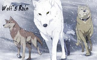 Wolf's rain, which wolf are you?