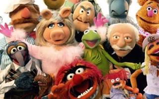 WHO ARE YOU FROM THE MUPPETS?