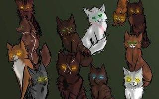 Do You Like Evil Warrior Cats?