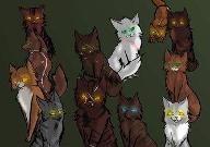 Do You Like Evil Warrior Cats?