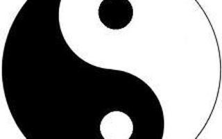 Yin Or Yang