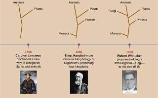 Test Your Knowledge on Evolution