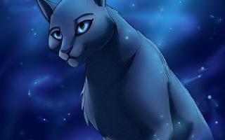 Do you know Bluestar?