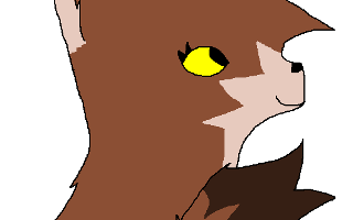 Warrior Cats (2)