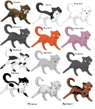 how well do u know Windclan?