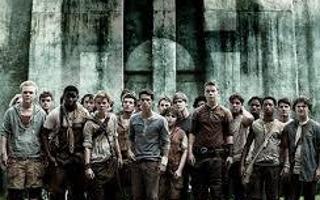 What Maze Runner character are you most like?