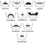 What type of mustache is your type?