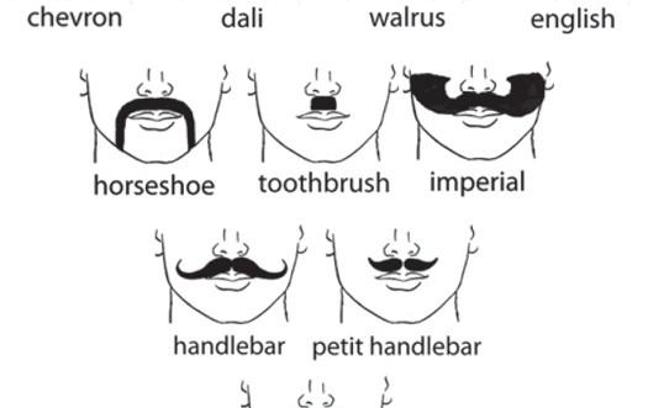 What type of mustache is your type?