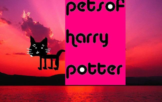 what harry potter animal will you bring to hogwarts?