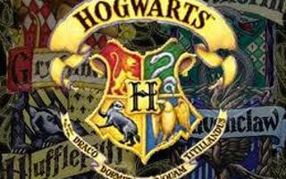 HARRY POTTER - WHAT HOGWARTS HOUSE DO YOU BELONG IN?