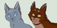 Warrior Cats Couples Quiz!