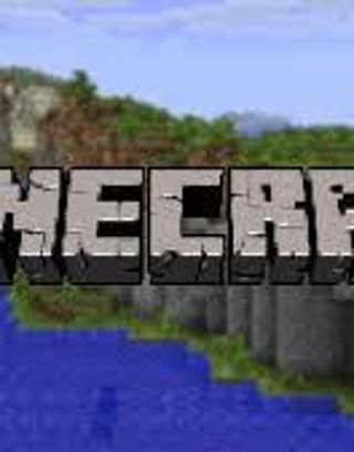 The Minecraft Quiz (1)