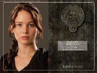 The Hunger Games Quiz (1)