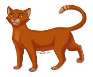 Which of My Warrior Cats Are YOU?