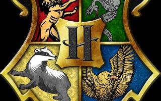 Hogwarts house?