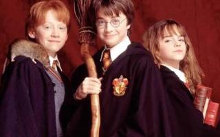 Who are you: Harry, Ron or Hermoine?