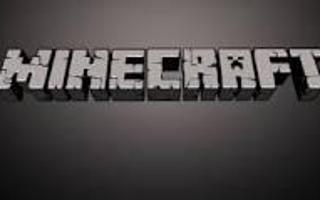 What type of Minecraft Player are you?