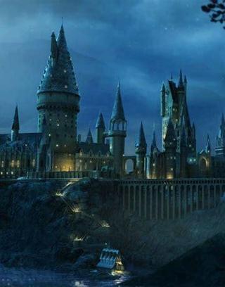 Which Hogwarts House are you in? (9)