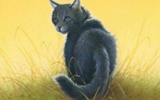 How well do you know Cinderpelt?