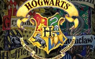 What Hogwarts house would YOU be in? (1)