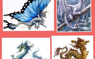 What dragon are you? (1)