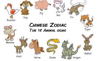 Chinese zodiac (1)