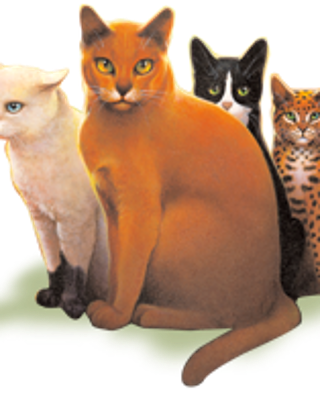 What Warrior Cat are you? (2nd Series cats)