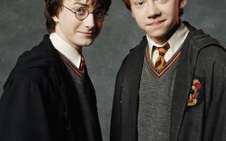 Are you Harry Potter or Ron Weasley?