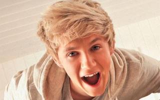 Would Niall like you and maybe date you?