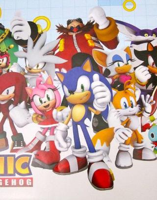 Which sonic character are you like?