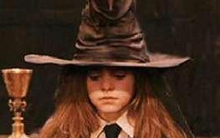 Harry Potter Sorting hat!