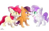 Are you a pegasister/brony?