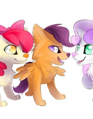 Are you a pegasister/brony?