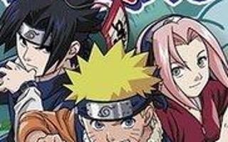 Boy or Girl?(Naruto Edition)