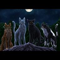 Warrior Cats What Clan Are You In? (1)