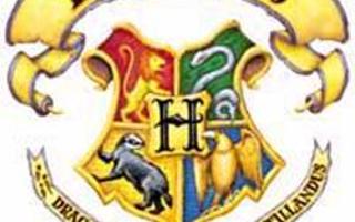 Which Hogwarts house are you in? (1)