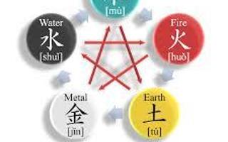 Which Wu Xing Element are You?