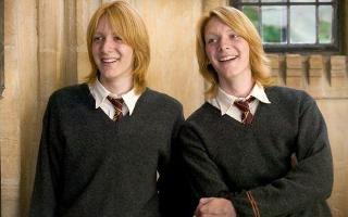 How much do you know about the Weasleys?