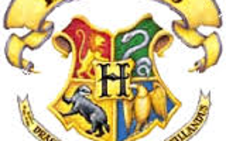 Which Hogwarts House are YOU in???