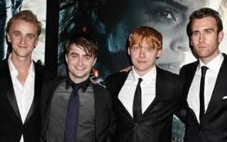 HARRY POTTER - WHICH HOGWARTS BOY IS BEST SUITED FOR YOU?