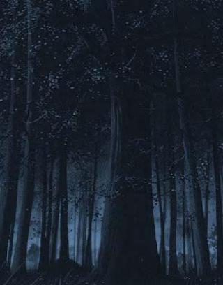 Midnight Forest Personality Quiz (1)