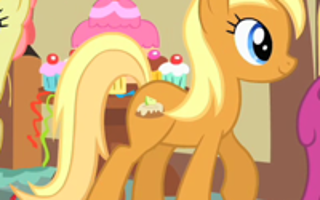 Which pony from my little pony friendship is magic are you.