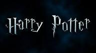 Which harry potter character are you? (8)